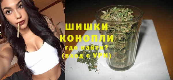 не бодяженный Бородино