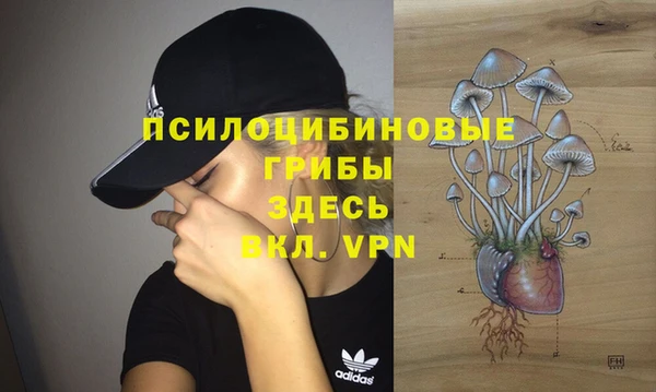 ALPHA PVP Бугульма