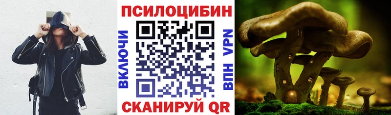Купить закладки  Ветлуга  Псилоцибиновые грибы MAGIC MUSHROOMS 